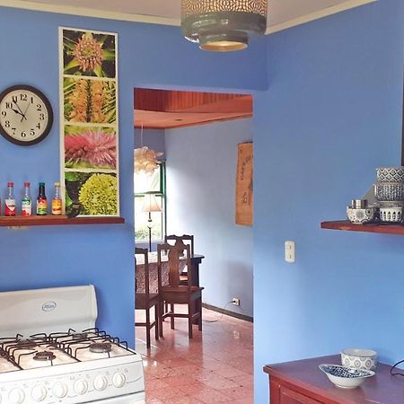 Montana Linda Guest House Orosí 외부 사진