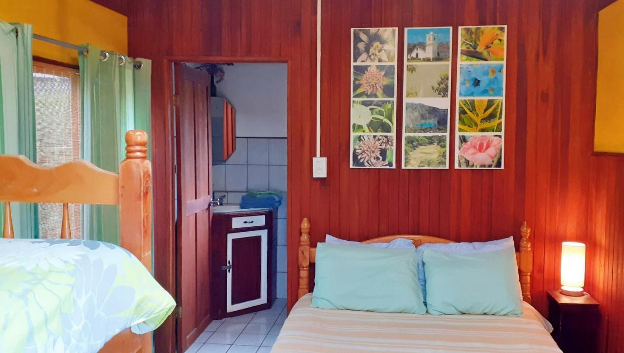 Montana Linda Guest House Orosí 외부 사진