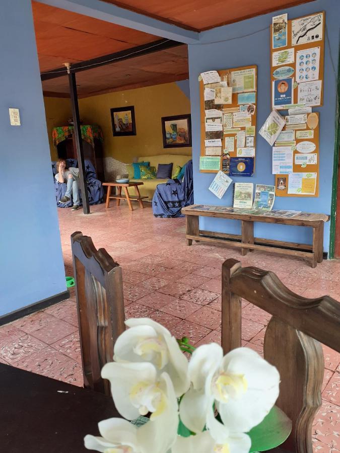 Montana Linda Guest House Orosí 외부 사진