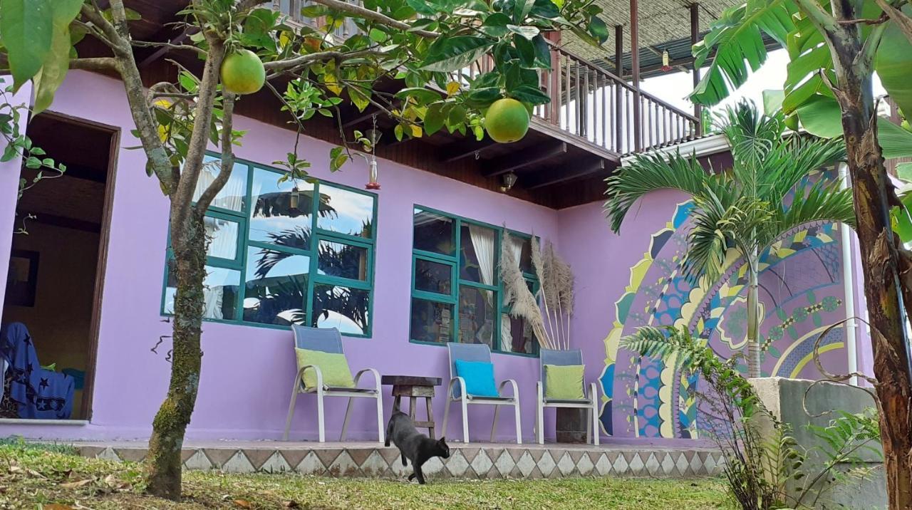 Montana Linda Guest House Orosí 외부 사진