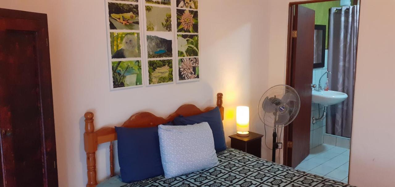 Montana Linda Guest House Orosí 외부 사진